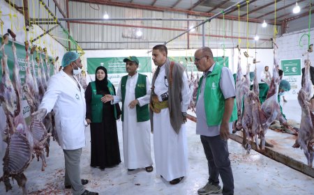 بدعم من مركز الملك سلمان.. تدشين مشروع توزيع 1100 أضحية للأسر المحتاجة والنازحين في مأرب