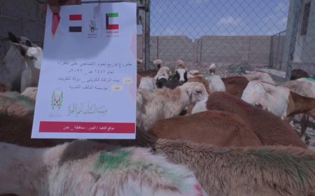 مؤسسة التآلف التنموية الخيرية توزع لحوم الأضاحي على 300 أسرة في عدن بدعم من بيت الزكاة الكويتي