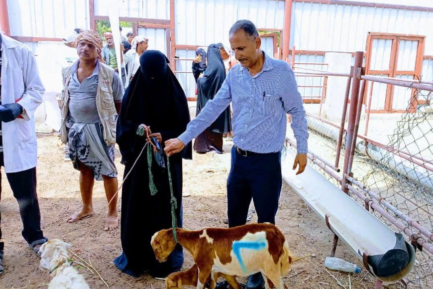 برعاية الوزير السقطري: تدشين توزيع الثروة الحيوانية للمشاركين في برنامج تربية وصحة الحيوان بمحافظة لحج