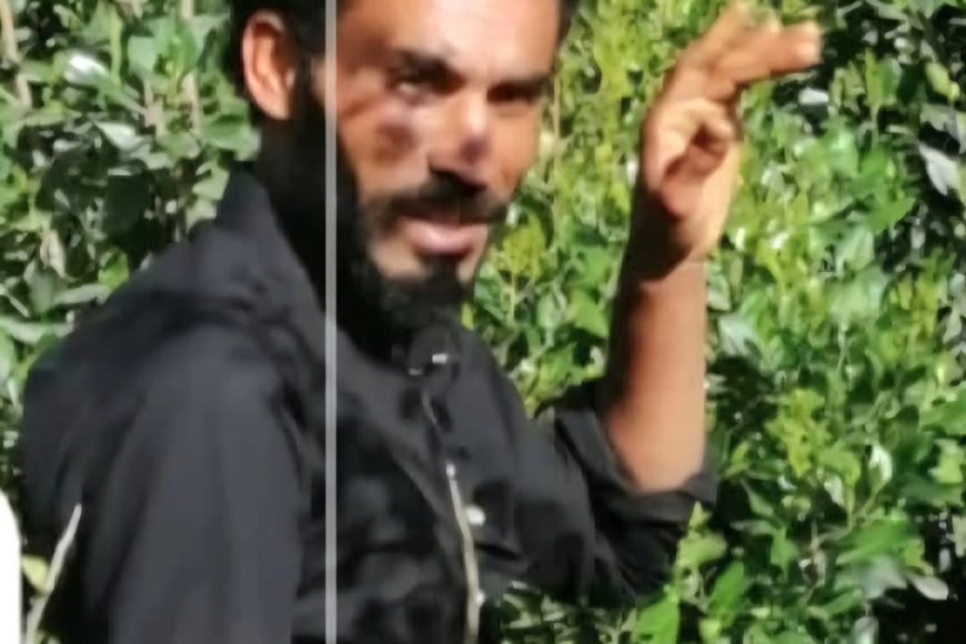 تعز..أهالي قرية الزتان بمديرية جبل حبشي يطالبون بضبط مطلوب أمني متهم بسرقة المواشي