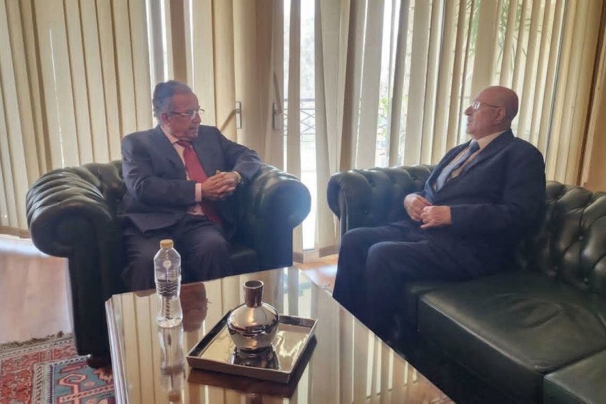 السفير موسى يلتقي المرشح لمنصب الأمين العام لجامعة الدول العربية السفير نبيل فهمي