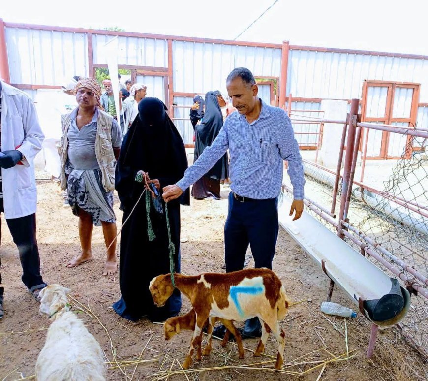 برعاية الوزير السقطري: تدشين توزيع الثروة الحيوانية للمشاركين في برنامج تربية وصحة الحيوان بمحافظة لحج