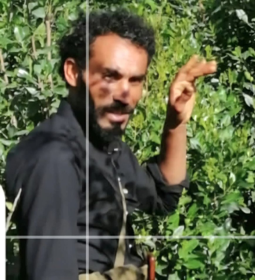 تعز..أهالي قرية الزتان بمديرية جبل حبشي يطالبون بضبط مطلوب أمني متهم بسرقة المواشي