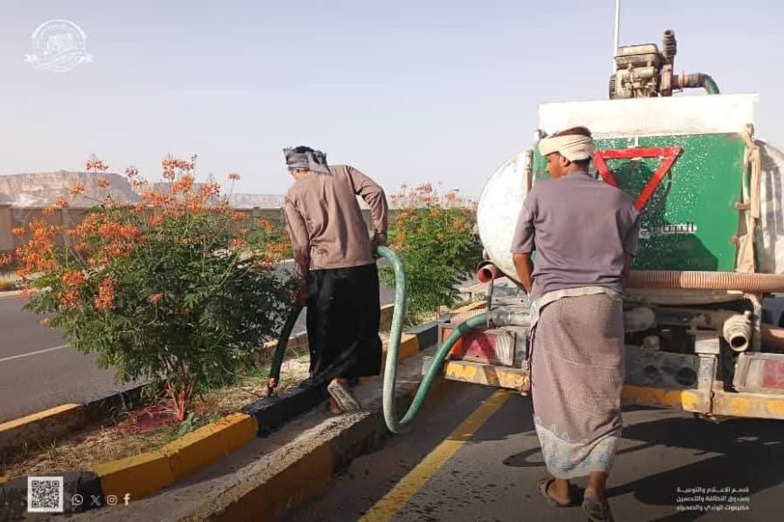 صندوق النظافة والتحسين يواصل حملات التسميد والعناية بالتشجير بسيئون