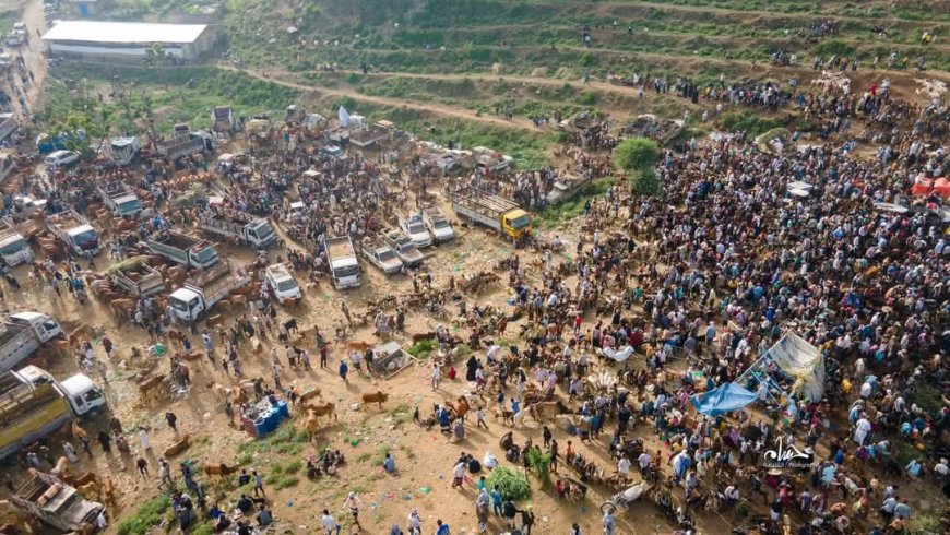رغم الزحام الكبير.. سوق الضباب في تعز يكشف وجهاً موجعاً لعيد الأضحى وسط الغلاء وانهيار المعيشة