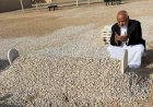 عقب زيارته قبر الرئيس الراحل (هادي).. محافظ الحديدة يفاجئ الجميع بتصريح 