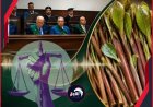 إحالة أوراقه للمفتي.. (القات) يقود يمني إلى حبل المشنقة في مصر