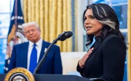 ​قنبلة سياسية تفجرها مديرة الاستخبارات الأمريكية المستقيلة.. تكشف تمويل واشنطن لـ 120 مختبراً بيولوجياً سرياً