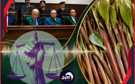 إحالة أوراقه للمفتي.. (القات) يقود يمني إلى حبل المشنقة في مصر