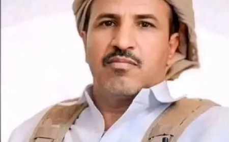 #عاجل.. الحوثيون يحاولون استهداف الشيخ حمد بن راشد فدغم بطائرة مسيرة في الجوف.. فيديو