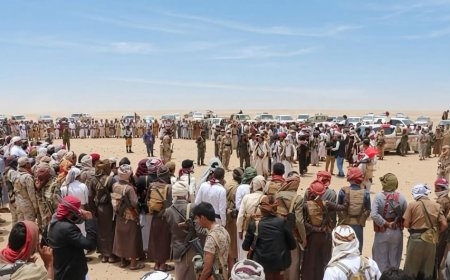 قبيلة الزرانيق بالساحل التهامي الغربي تعلن تضامنها الكامل مع الشيخ حمد بن فدغم