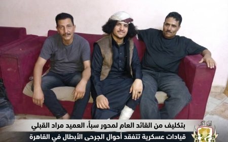 قيادات عسكرية تتفقد جرحى المحور في القاهرة