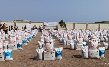 تعز..بدعم سعودي الخلية الإنسانية تبدأ توزيع مساعدات غذائية في ذو باب المندب
