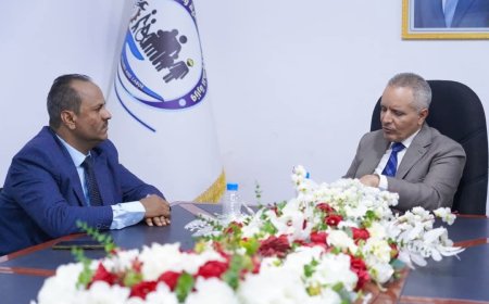 الوزير اليافعي يؤكد أهمية تنظيم عمل المنظمات وضمان عدالة توزيع التدخلات الإنسانية في تعز