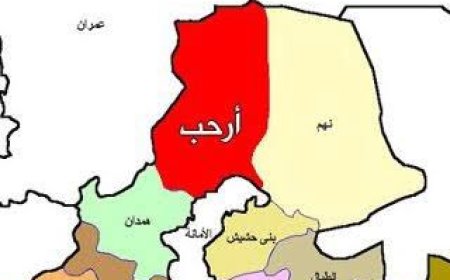 خبير عسكري: الحوثيون يحاولون جر قبائل أرحب إلى صراع مع قبائل يمنية