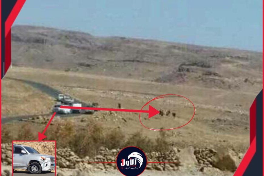 وعد بنشر فيديو للحظاتهما الأخيرة.. نجل الرئيس صالح ينشر صورة تاريخية ويكشف ما حدث للرئيس والزوكا قبيل مقتلهما