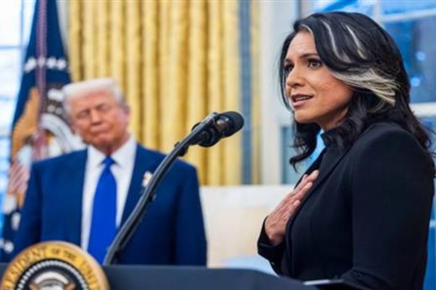 ​قنبلة سياسية تفجرها مديرة الاستخبارات الأمريكية المستقيلة.. تكشف تمويل واشنطن لـ 120 مختبراً بيولوجياً سرياً