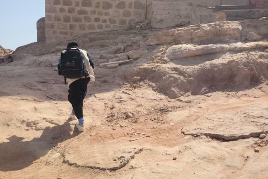 شبوة.. الباحثات الميدانيات يواصلن تنفيذ الجولة الثانية من مسح ميزانية الأسرة 2026 بمديرية حبان
