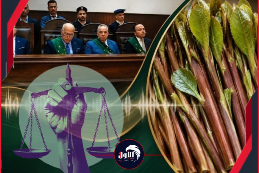 إحالة أوراقه للمفتي.. (القات) يقود يمني إلى حبل المشنقة في مصر