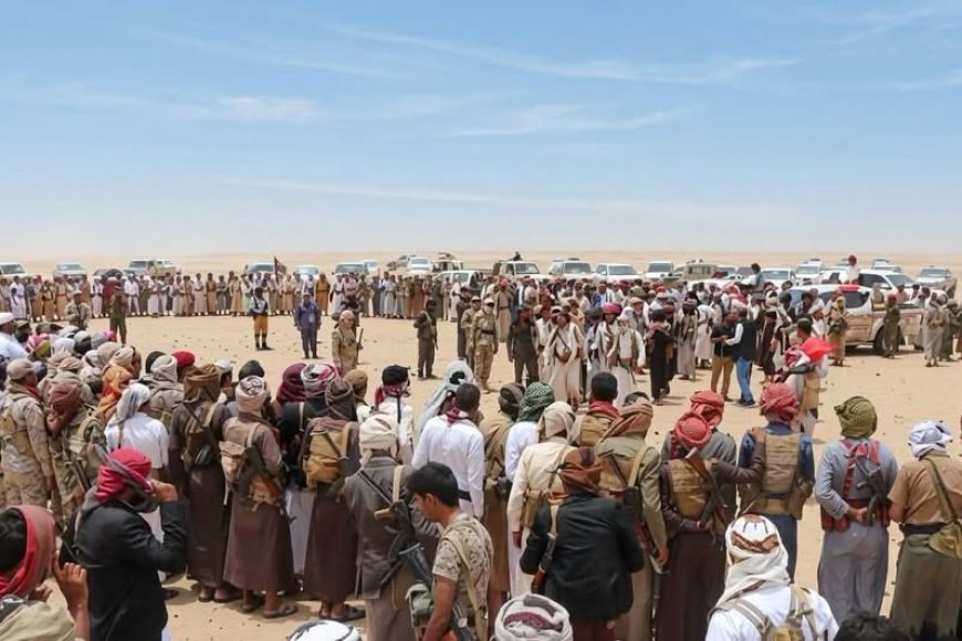 قبيلة الزرانيق بالساحل التهامي الغربي تعلن تضامنها الكامل مع الشيخ حمد بن فدغم