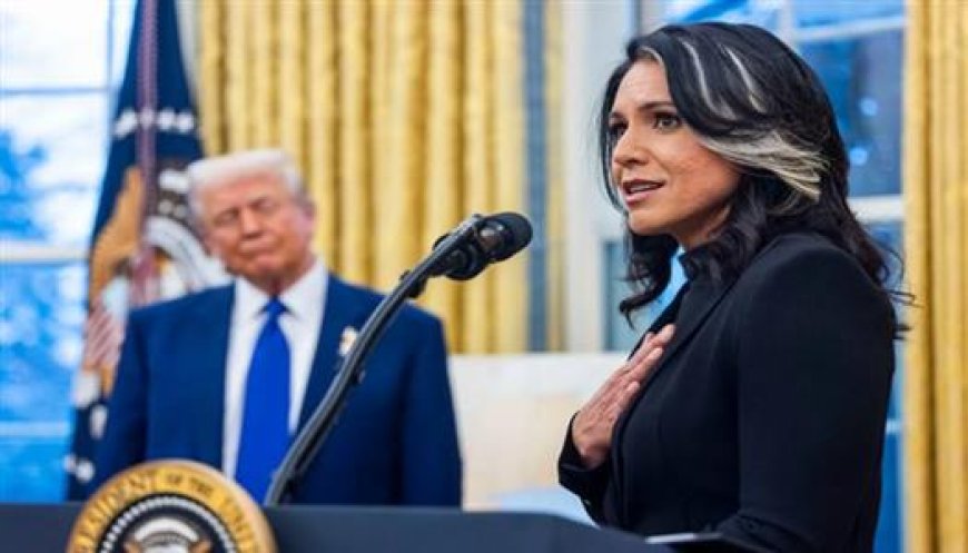 ​قنبلة سياسية تفجرها مديرة الاستخبارات الأمريكية المستقيلة.. تكشف تمويل واشنطن لـ 120 مختبراً بيولوجياً سرياً