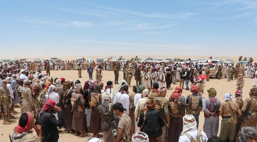 قبيلة الزرانيق بالساحل التهامي الغربي تعلن تضامنها الكامل مع الشيخ حمد بن فدغم