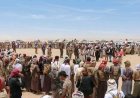بالأسماء.. أبرز القبائل التي وصلت إلى "مطارح الكرامة" استجابةً لدعوة الشيخ فدغم