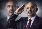 مستشار سعودي: "الزبيدي" خسر فرصة تاريخية كبيرة.. وجماعة الحوثي ستخسر مثله