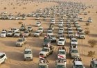 قائمة بأسماء أكثر من 100 قبيلة وصلت إلى مطارح الكرامة تلبية لدعوة الشيخ فدغم
