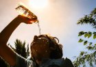 المانيا تسجل رقما قياسيا في ضحايا الغرق خلال شهر ! ما السبب ؟