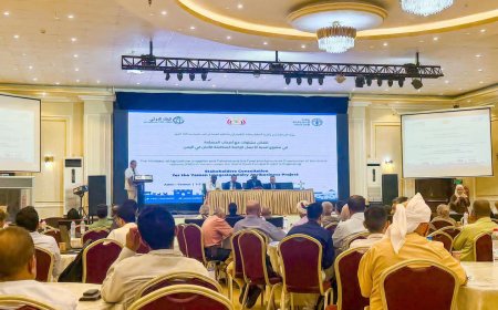 وزارة الزراعة والفاو تطلقان مشاورات أصحاب المصلحة لإعداد مشروع تنمية الأعمال الزراعية المتكاملة للألبان في اليمن بتمويل من البنك الدولي