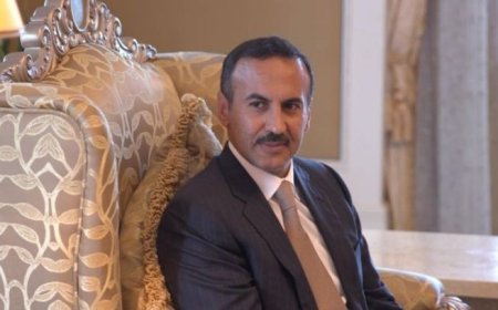 الحكومة الشرعية ترفض طلب السفير أحمد علي لعقد لقاءات مع قيادات رفيعة في الرياض