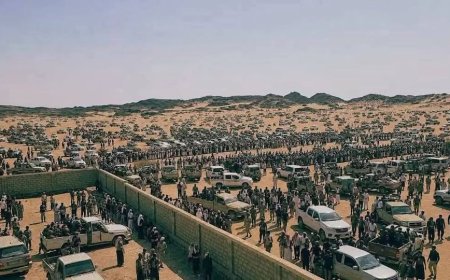 خبير عسكري في الحكومة الشرعية: نكف الشيخ فدغم فاشل وخاسر