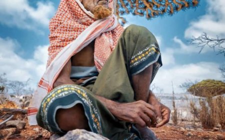 سقطرى.. هوية لا تموت