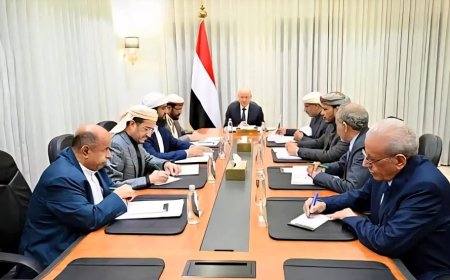 مجلس القيادة يخصص طائرة للخطوط الجوية اليمنية لإعادة وفد الحوثيين من إيران