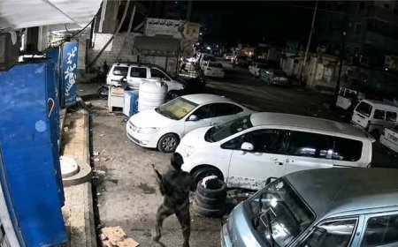 بالفيديو.. توثيق لحظة إطلاق النار على دورية أمنية في عدن