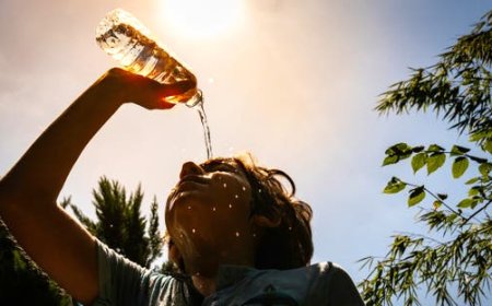المانيا تسجل رقما قياسيا في ضحايا الغرق خلال شهر ! ما السبب ؟