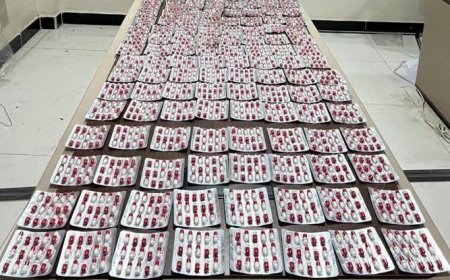 إدارة مكافحة المخدرات بعدن في عملية نوعية حازمة تطيح بشابين وبحوزتهم مخدرات البريجبالين بكمية عددها 3300 حبة في مديرية المنصورة.
