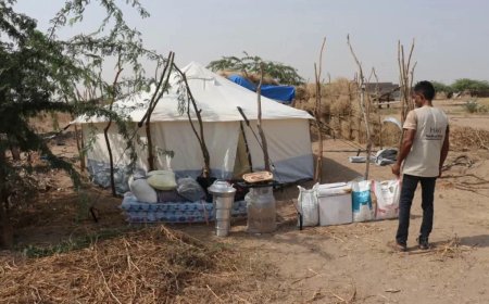 الحديدة..خلية الأعمال الإنسانية تتدخل لإغاثة أسرة نازحة بعد احتراق منزلها بالخوخة