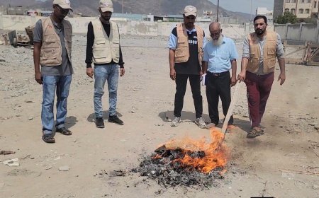 بتوجيهات مدير عام المديرية أحمد الداؤودي..صناعة البريقة يتلف كمية من شمة الحوت