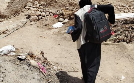 تواصل أعمال الفترة (18) والأخيرة من الجولة الثانية لمسح ميزانية الأسرة 2026  بمحافظة حضرموت