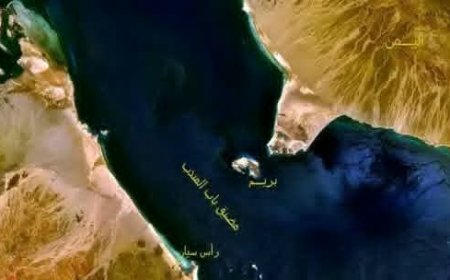 مليشيا الحوثي تدرس فرض رسوم على السفن العابرة لمضيق باب المندب
