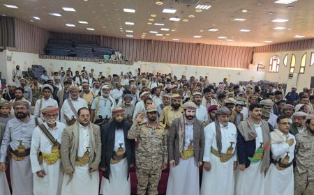 مأرب.. مشايخ ووجهاء صنعاء يؤكدون جهوزيتهم لدعم الجيش في استعادة الدولة وحماية السيادة