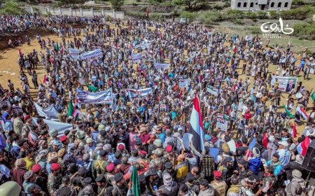 تعز.. احتشاد شعبي وقبلي كبير في مديرية المواسط دعمًا للجيش الوطني وتأكيدًا على استعادة الدولة
