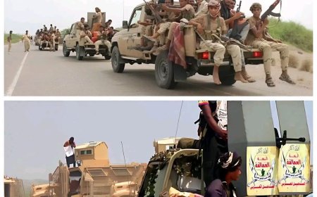بدء صرف مرتبات قوات العمالقة