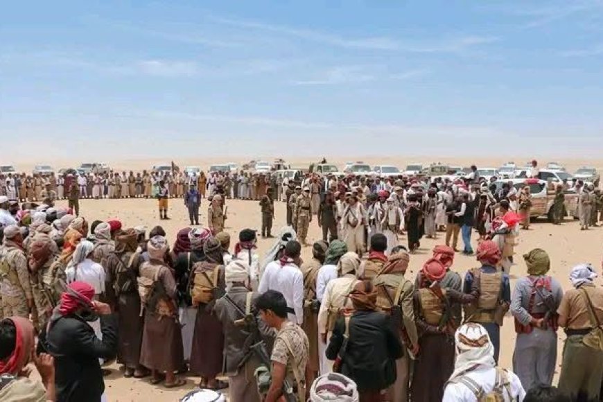 بالأسماء.. أبرز القبائل التي وصلت إلى "مطارح الكرامة" استجابةً لدعوة الشيخ فدغم