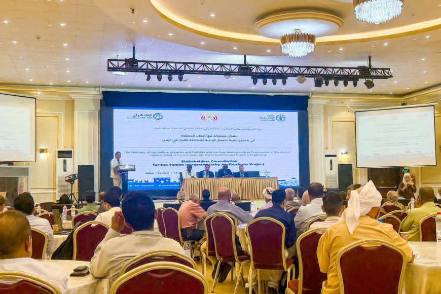 وزارة الزراعة والفاو تطلقان مشاورات أصحاب المصلحة لإعداد مشروع تنمية الأعمال الزراعية المتكاملة للألبان في اليمن بتمويل من البنك الدولي
