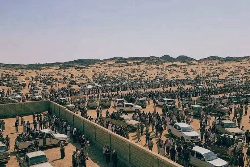 خبير عسكري في الحكومة الشرعية: نكف الشيخ فدغم فاشل وخاسر