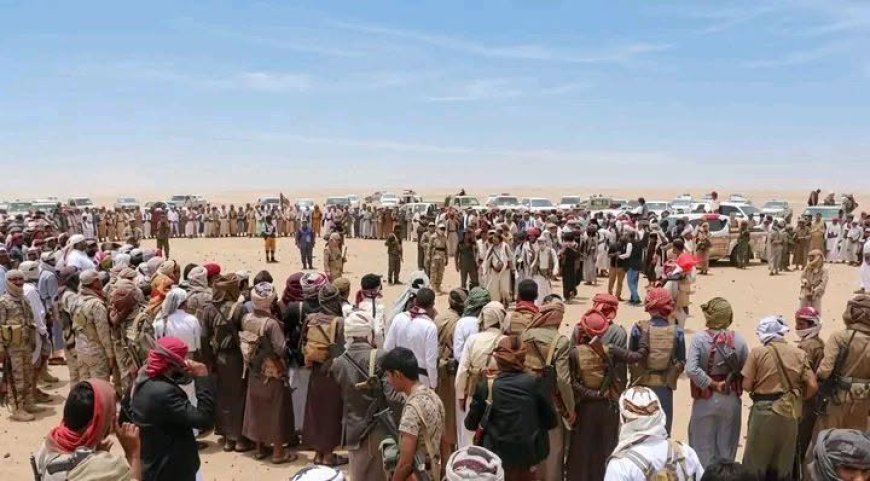بالأسماء.. أبرز القبائل التي وصلت إلى "مطارح الكرامة" استجابةً لدعوة الشيخ فدغم