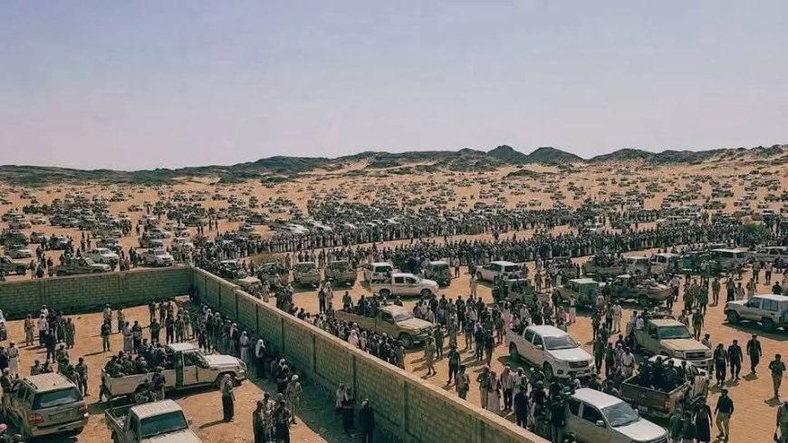 خبير عسكري في الحكومة الشرعية: نكف الشيخ فدغم فاشل وخاسر